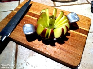 Apple Pie Tart 4a Apple Pie Tart Recipe