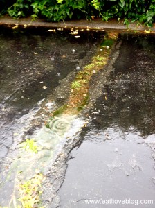 Endless rain in Boston